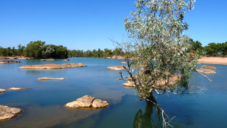Leichhardt River
